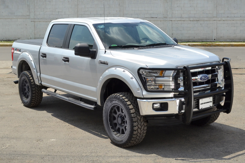 Ford F-150 Grille Guard - Front - Go Rhino - 3000 Series StepGuard - Black - 2004